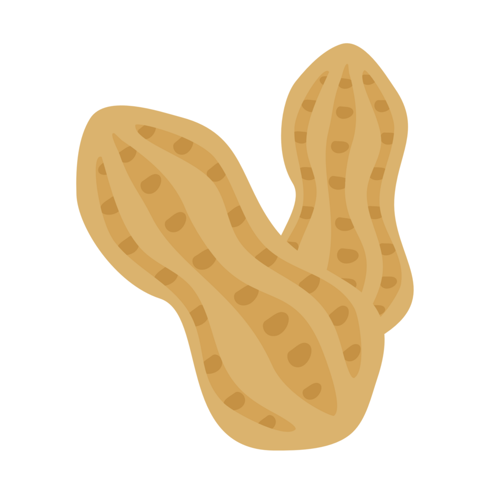 Peanut in the shell cartoon PNG file