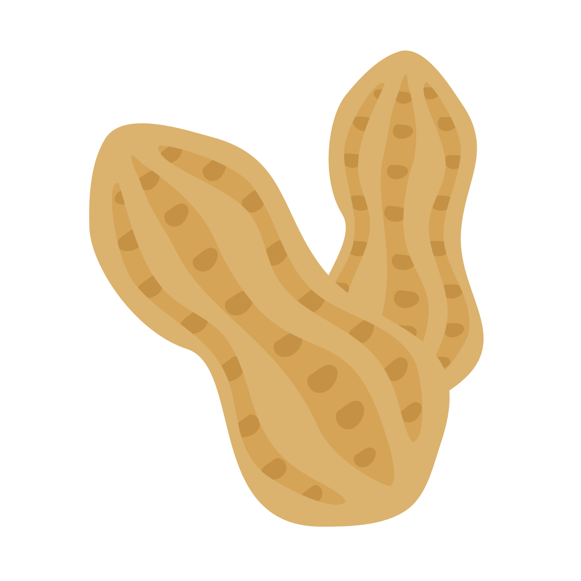Free Peanut in the shell cartoon PNG file 10171327 PNG with Transparent  Background