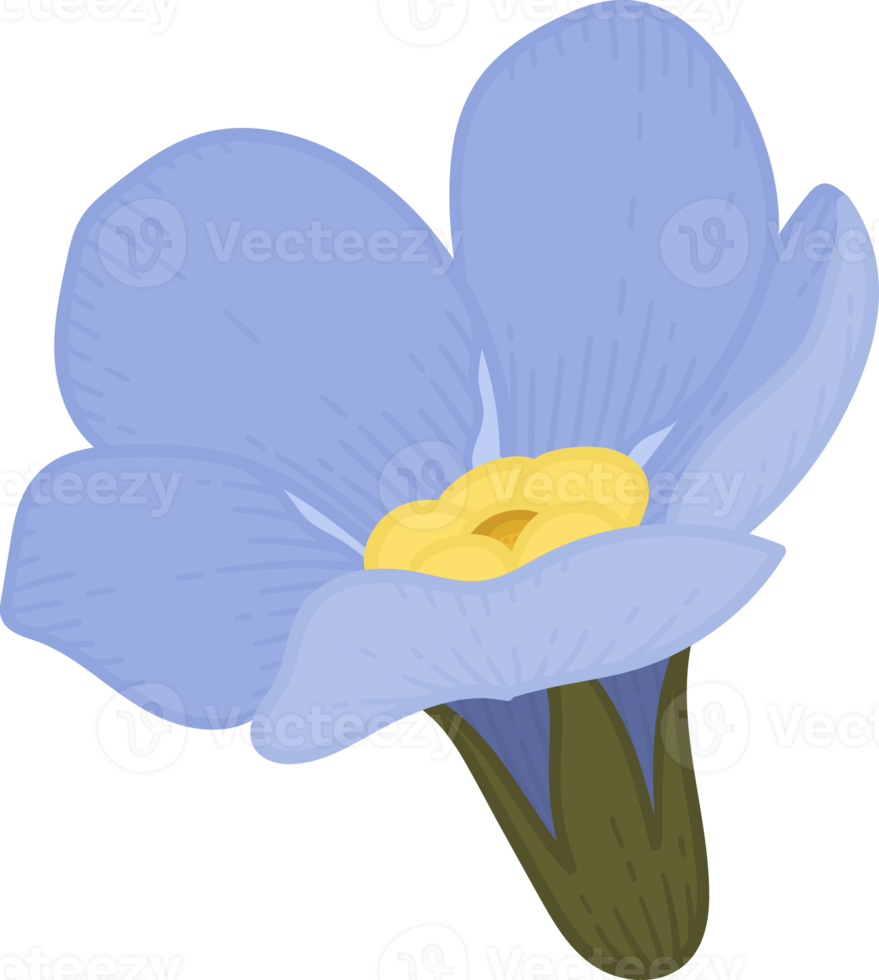 Blue forget me not flower hand drawn illustration. png