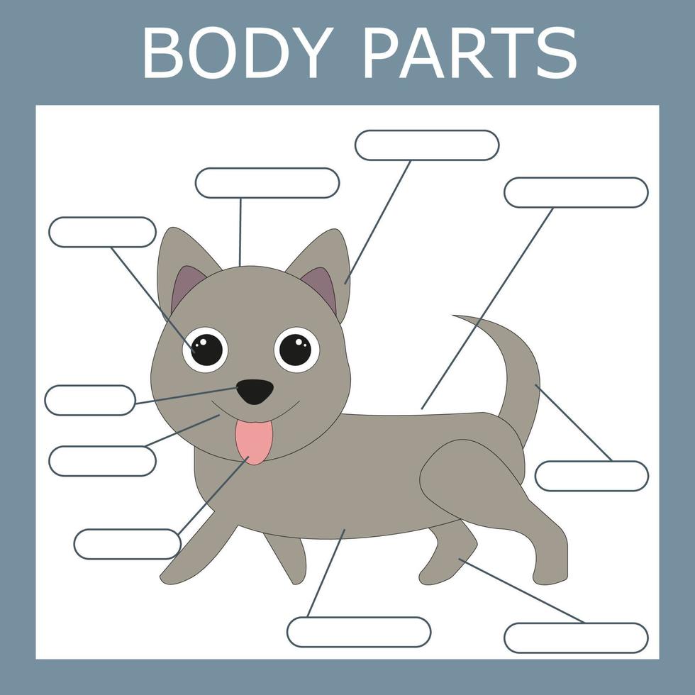 Write down the body parts of the dog. Educational game for children. vector