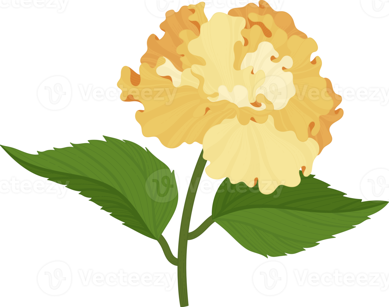 orange hibiskus blomma handritad illustration. png