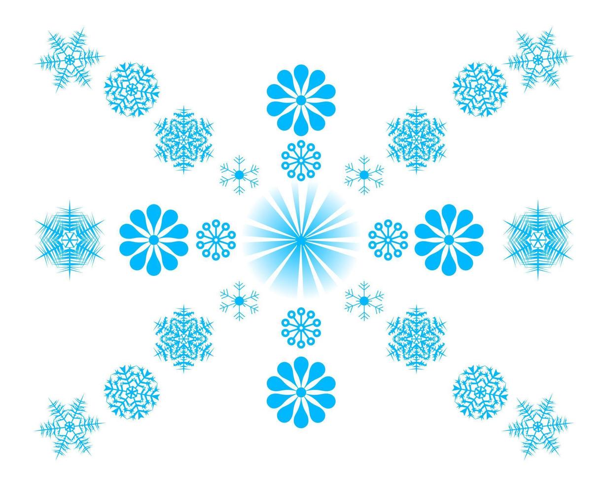 different snowflakes on a white background vector