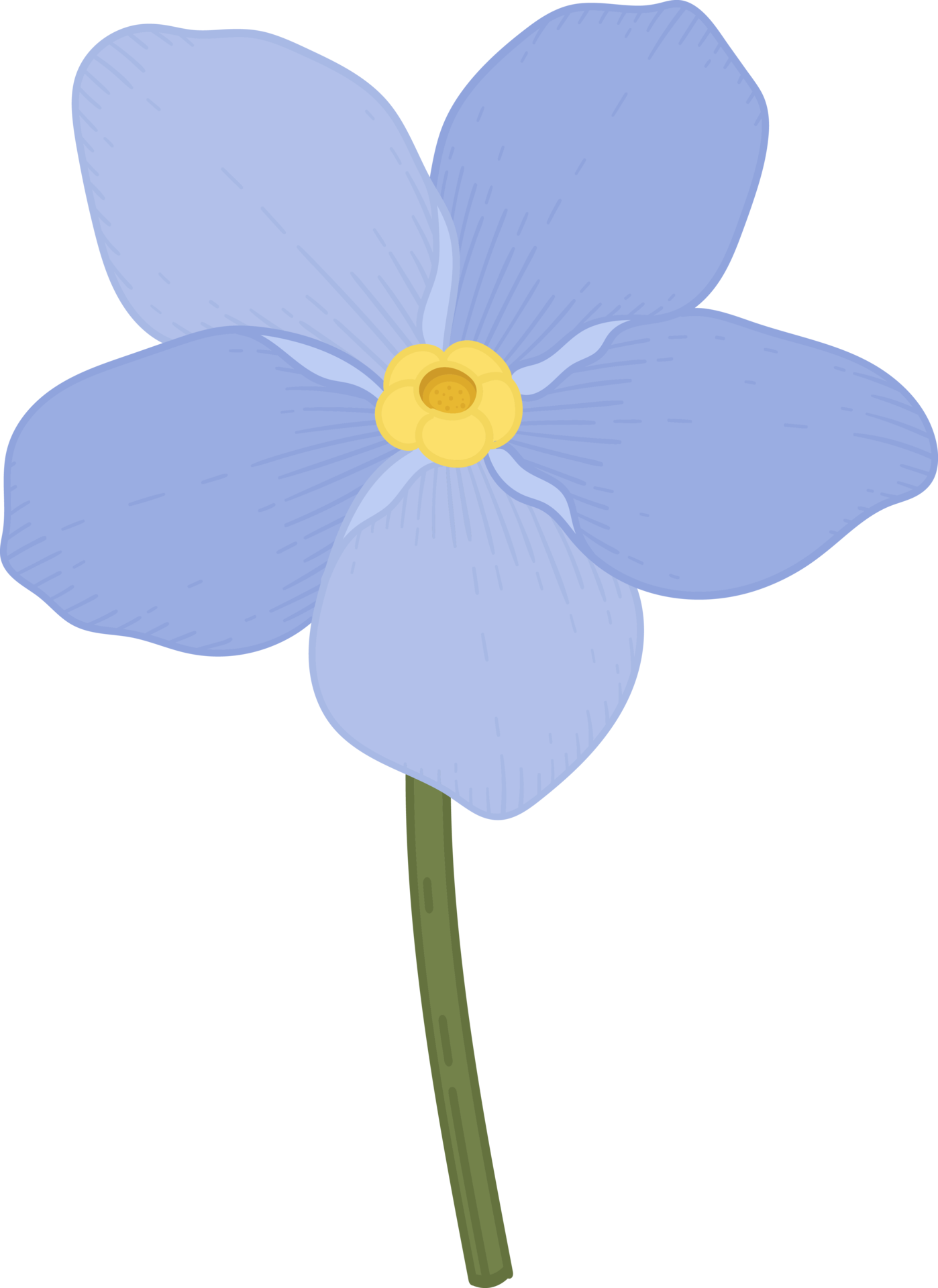 Blue me not flower hand drawn illustration. 10172232 PNG