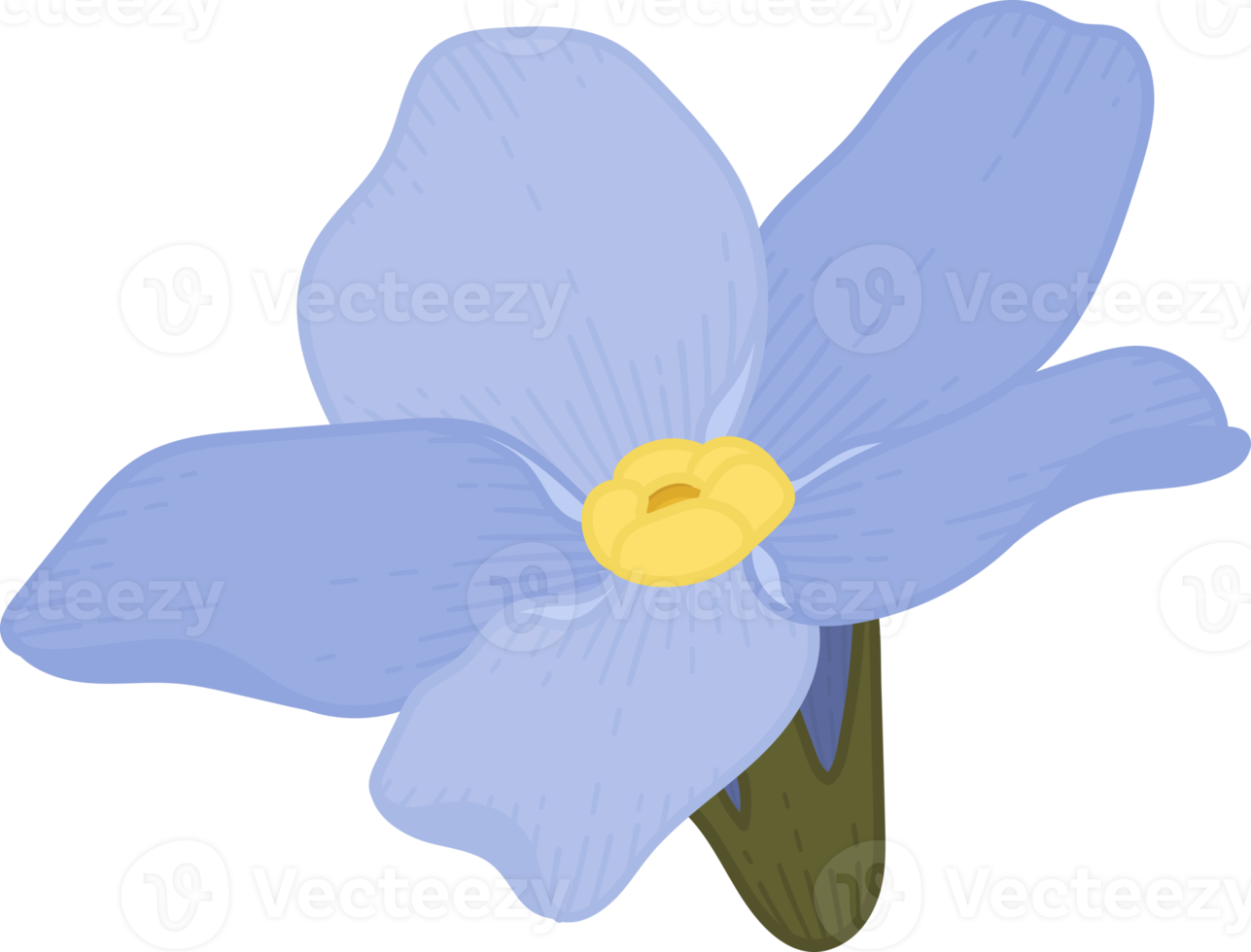 Blue forget me not flower hand drawn illustration. png