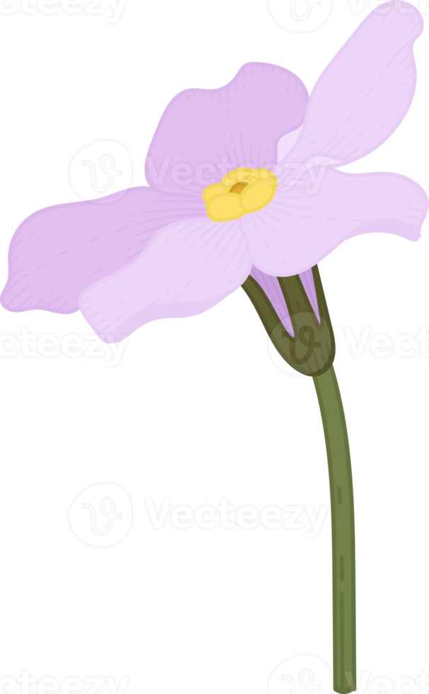 rosa glöm mig inte blomma handritad illustration. png