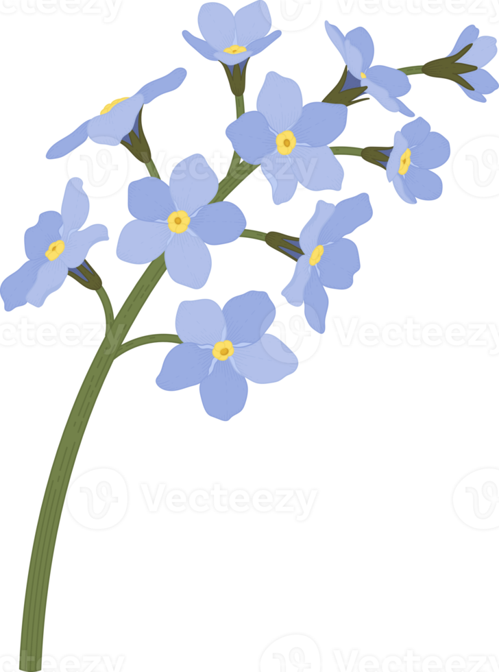 Free me not flower hand drawn illustration. 10172712 PNG with