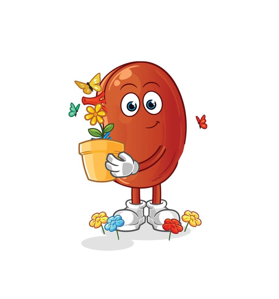 kidney mascot vector