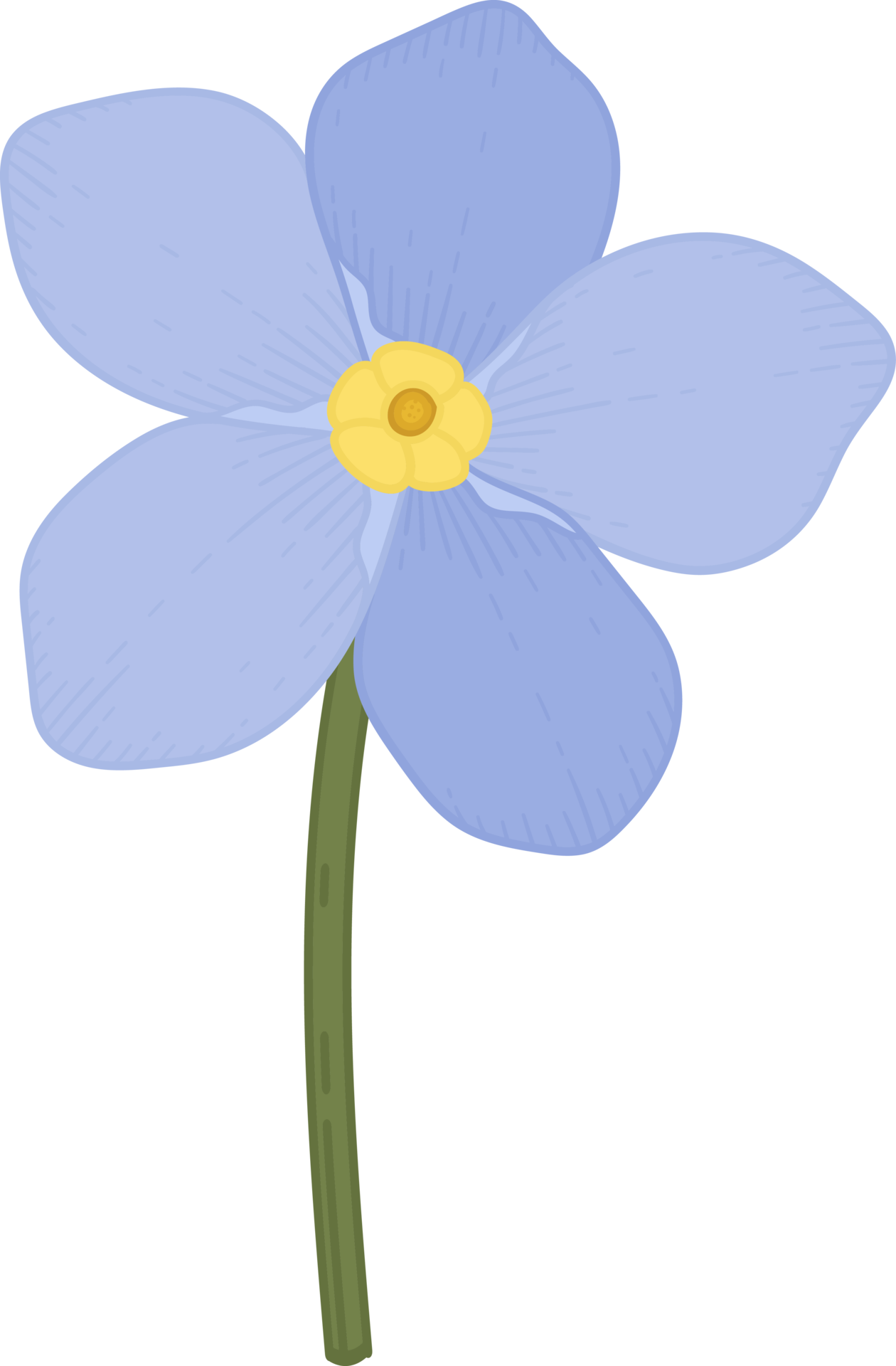 Blue me not flower hand drawn illustration. 10173030 PNG