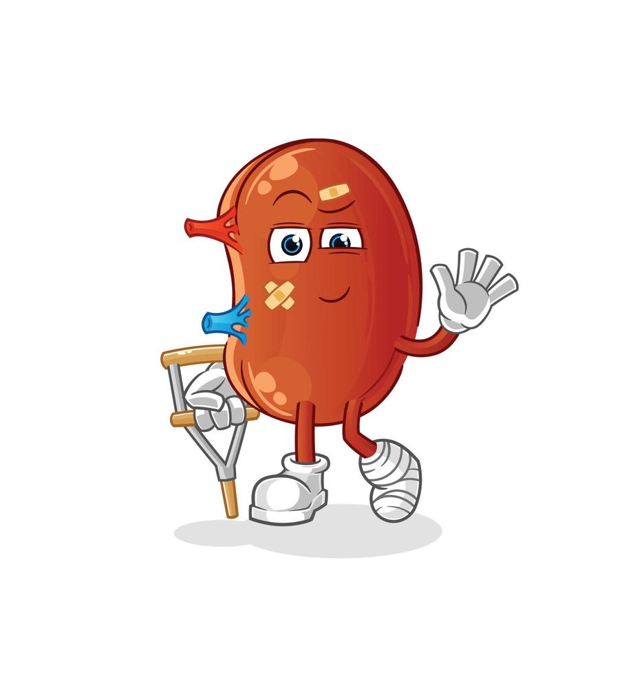 kidney mascot vector