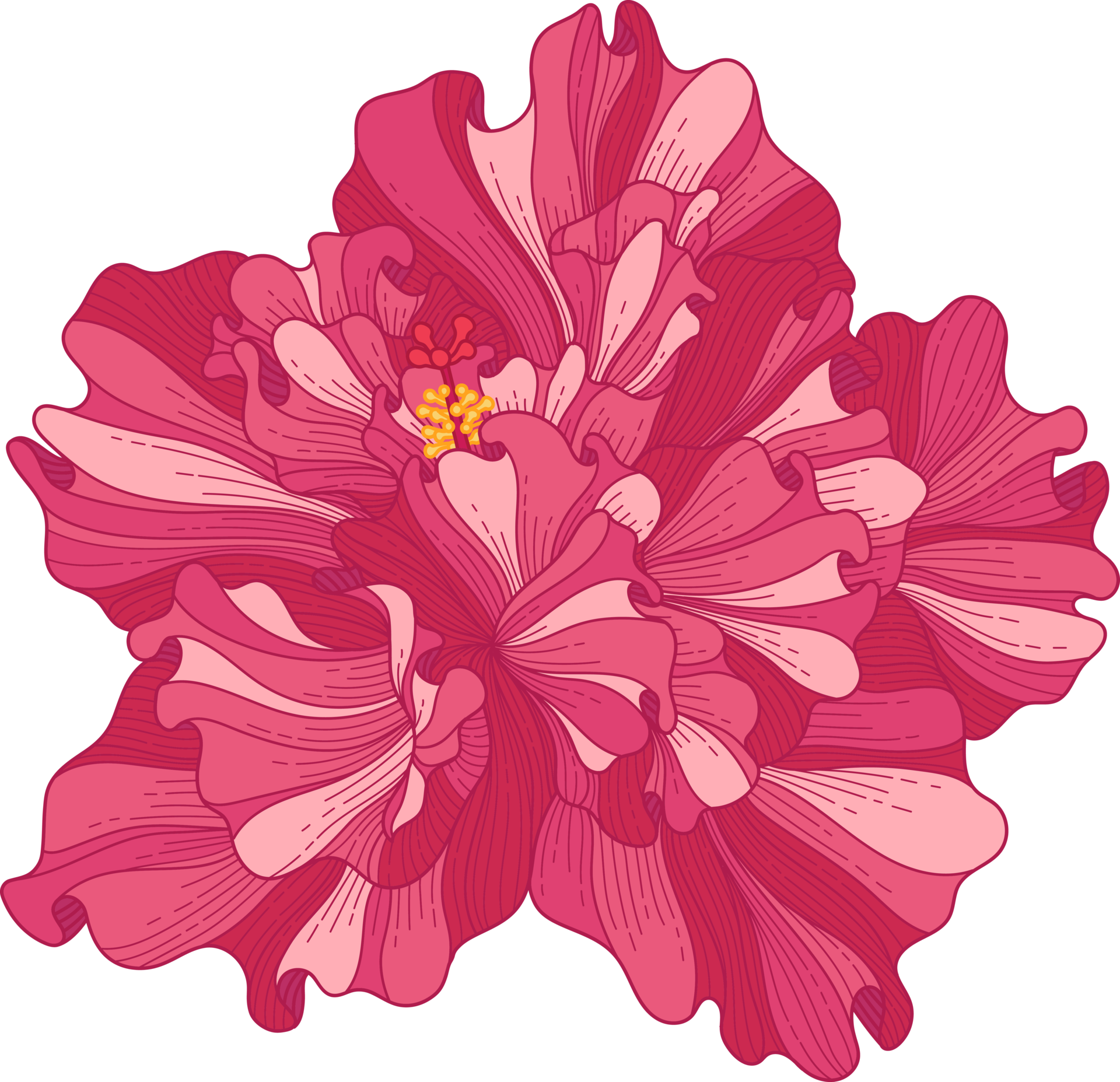 Free flor tropical de hibisco rosa dibujada a mano 10173818 PNG with  Transparent Background