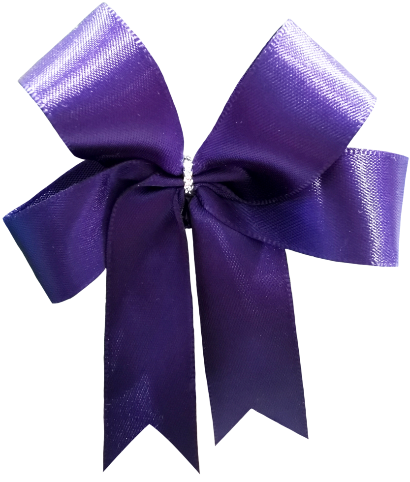 bow  gift ribbon cutout png