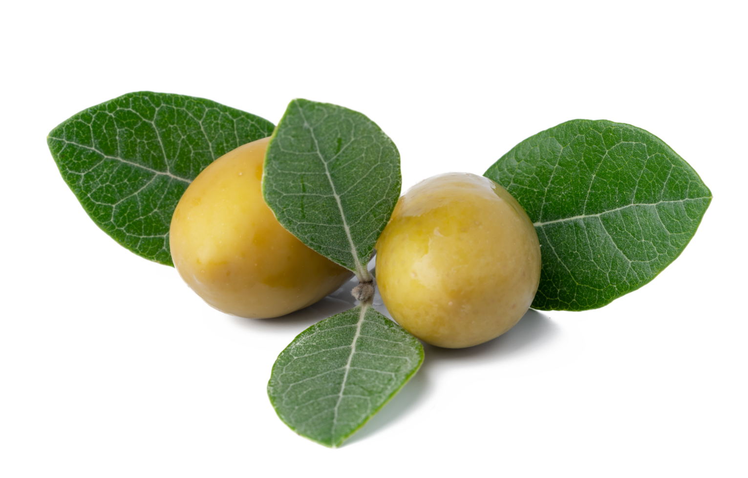 Green olives with leaves isolated on white background. png