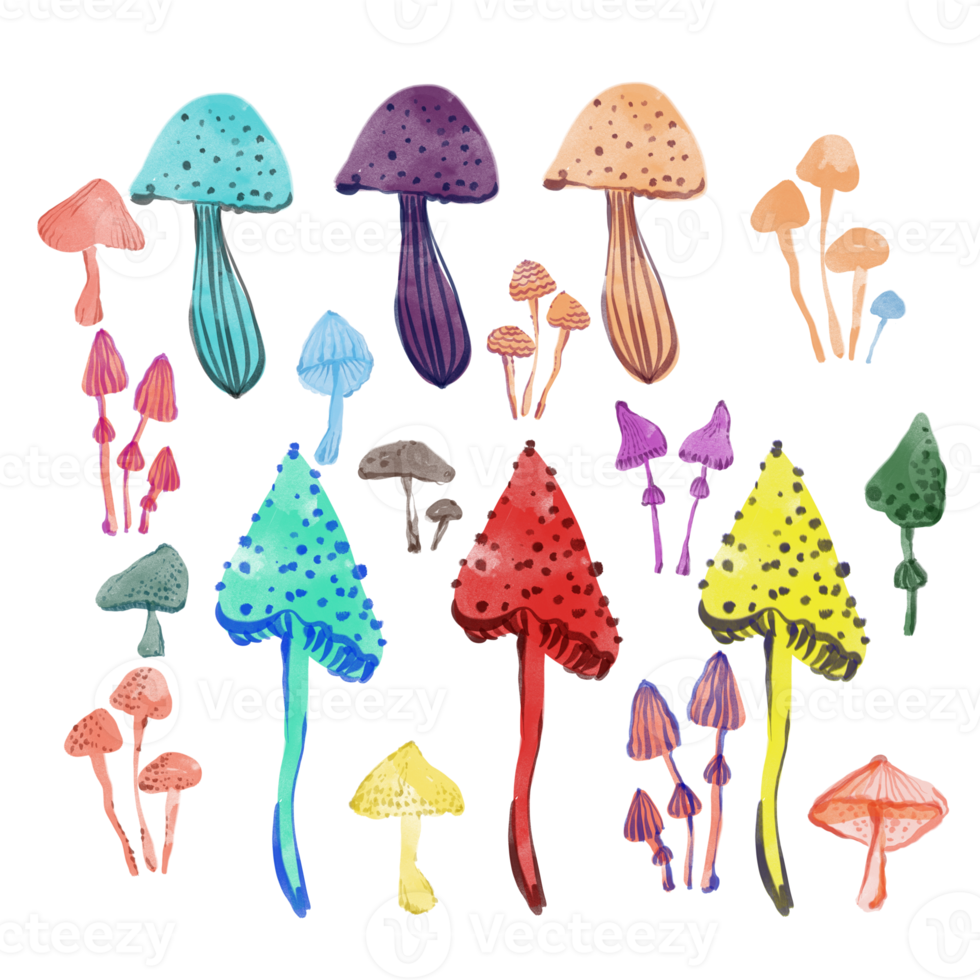 funghi ad acquerello. multicolore. png