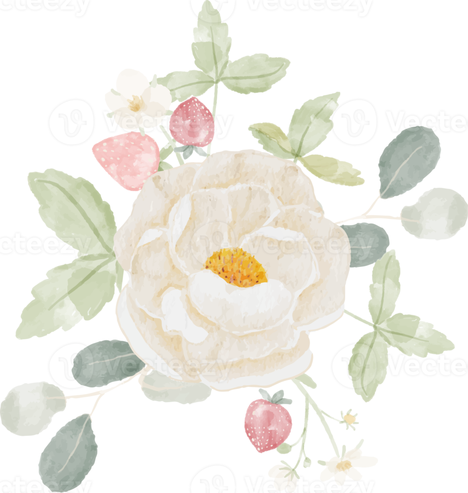watercolor white camellia and strawberry bouquet png