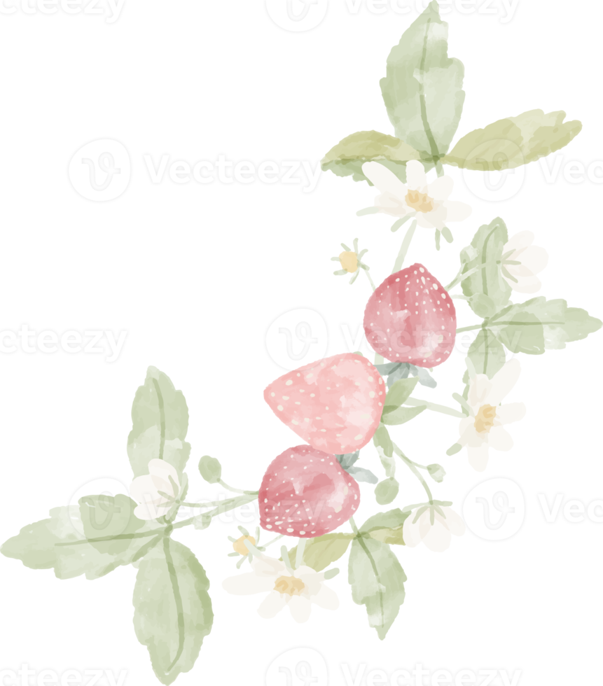 moldura de coroa de flores e frutas de morango silvestre em aquarela png