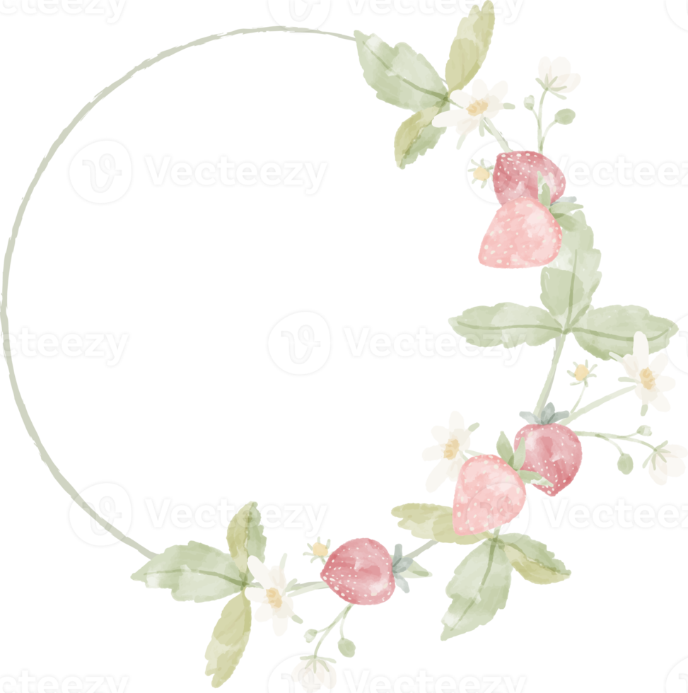 marco de guirnalda de flores de rama de fresa salvaje acuarela png