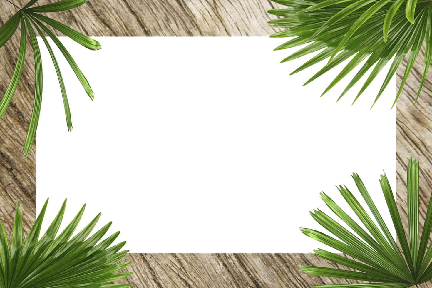 green botanical tropical palm leaves frame on transparent background png