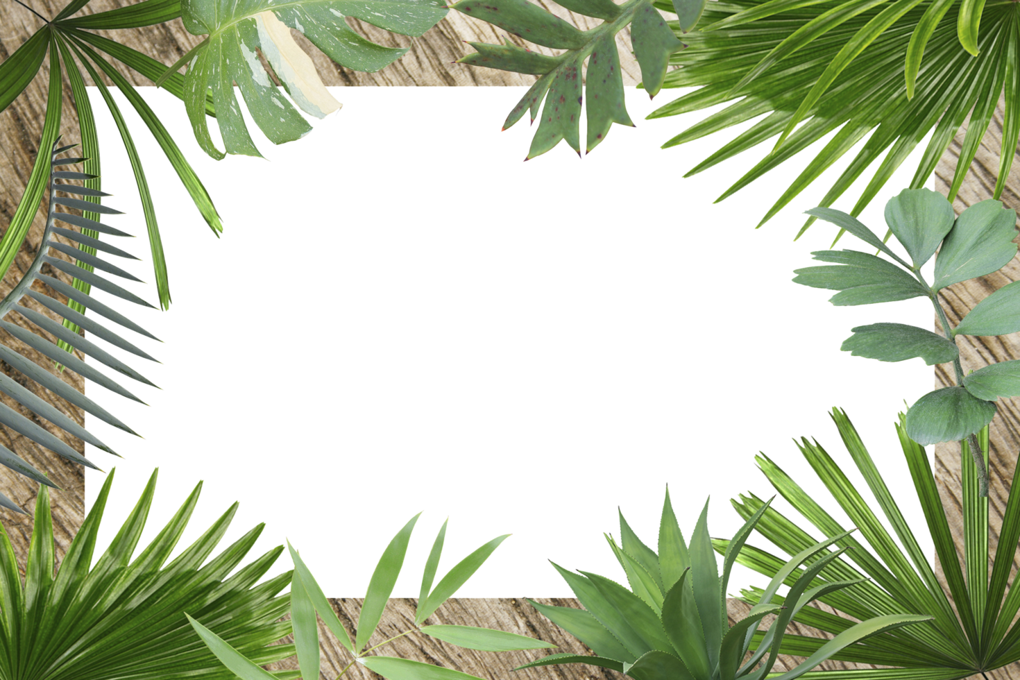 green botanical tropical palm leaves frame on transparent background png