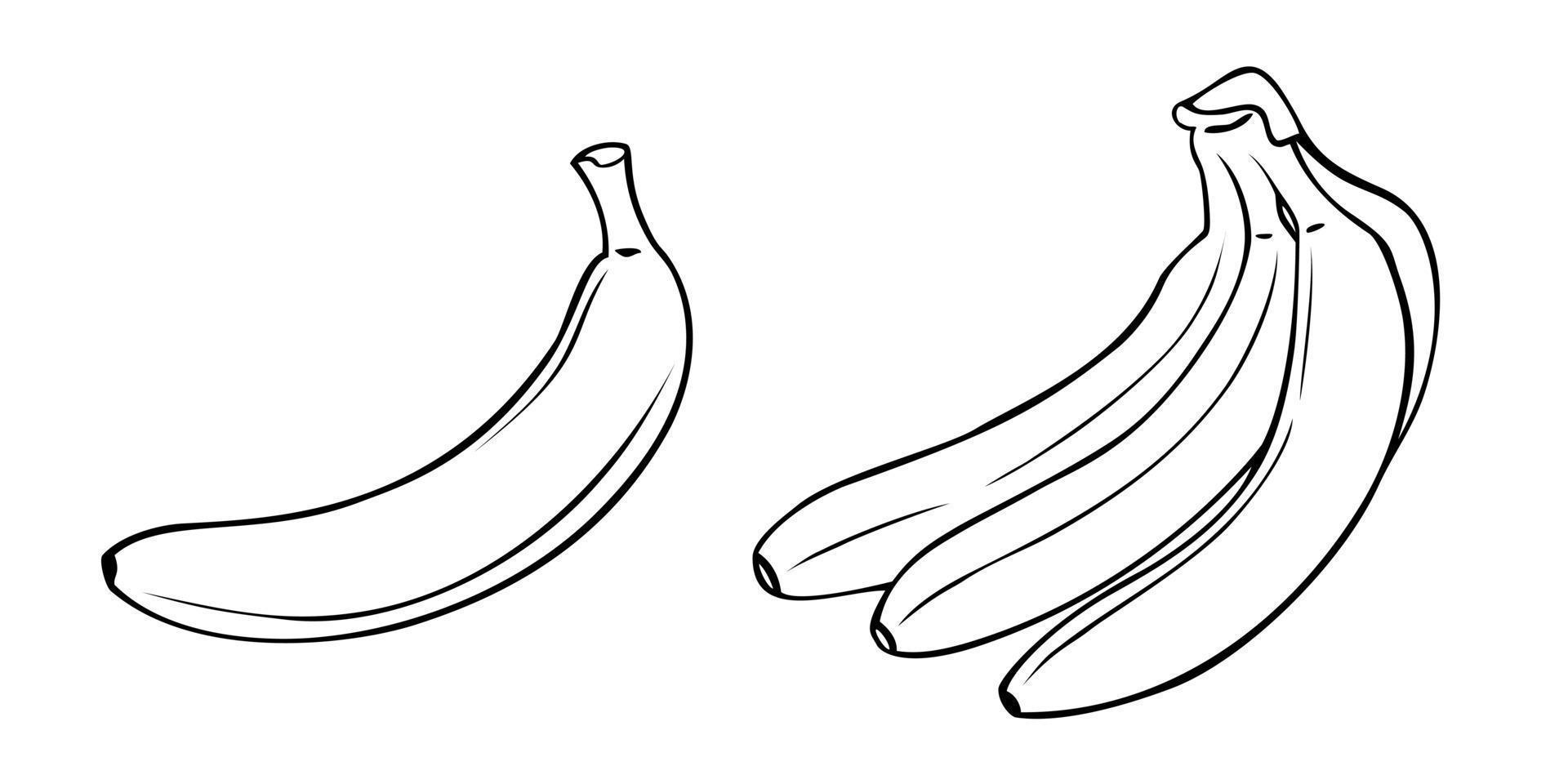 A set of monochrome pictures, A bunch of ripe bananas, odon banana, vector illustration on a white background.