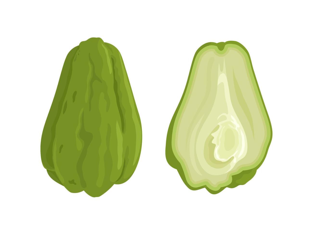 ilustración vectorial de chayote entero y medio, nombre científico sechium edule, aislado en fondo blanco. vector