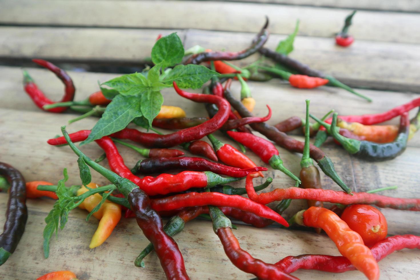 Hot chili peppers isolated on bamboo. Red and green Chile peppers plant photo