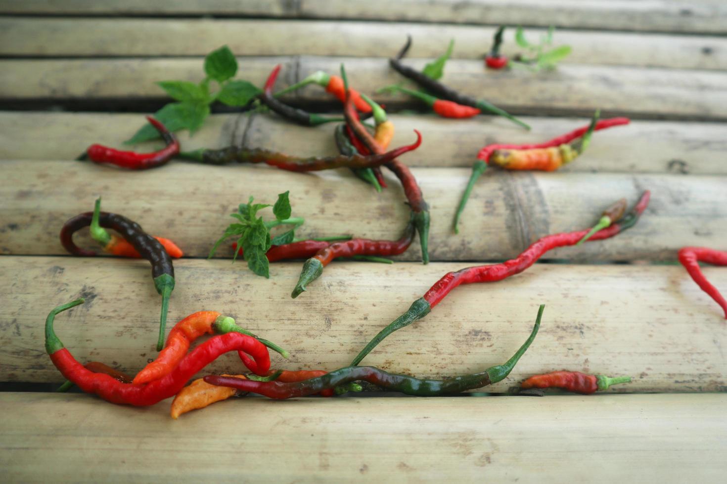 Hot chili peppers isolated on bamboo. Red and green Chile peppers plant photo