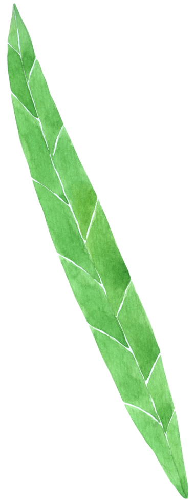 Green Leaf watercolor png