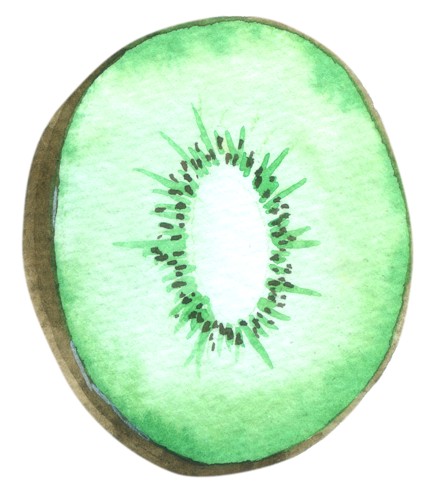 pintura de mano de acuarela de fruta de kiwi png