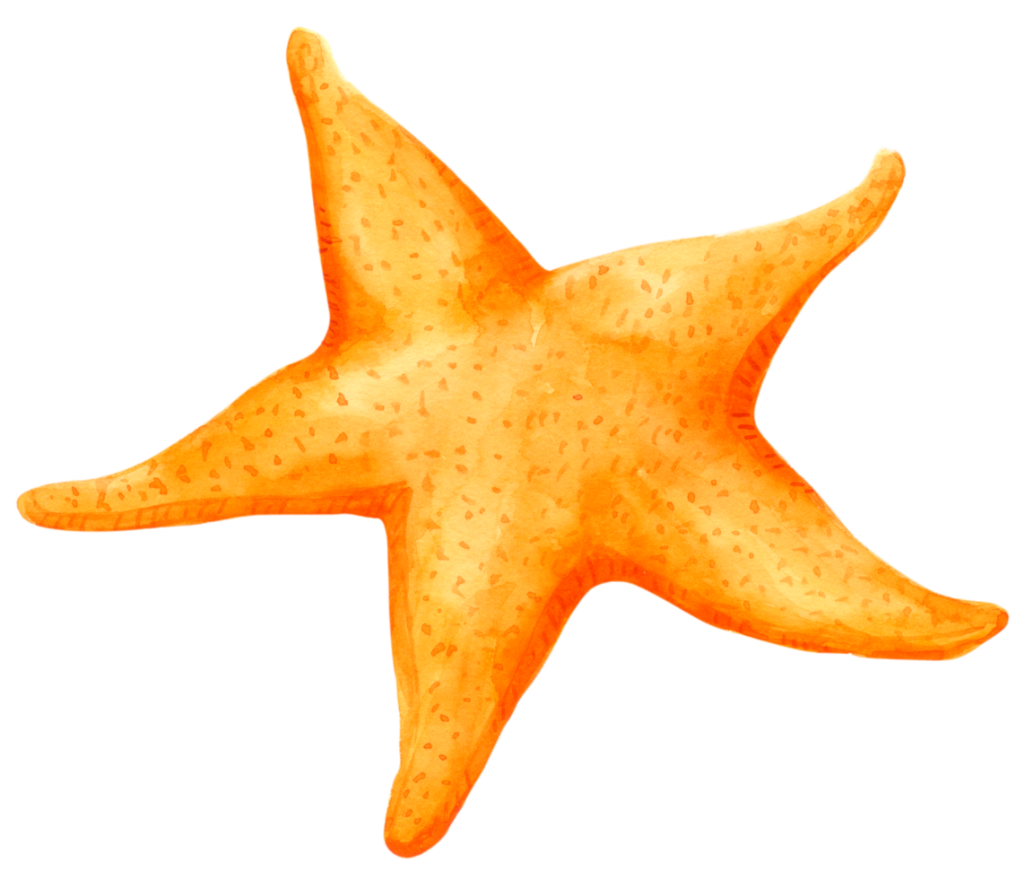 Star Fish watercolor hand paint 10180427 PNG