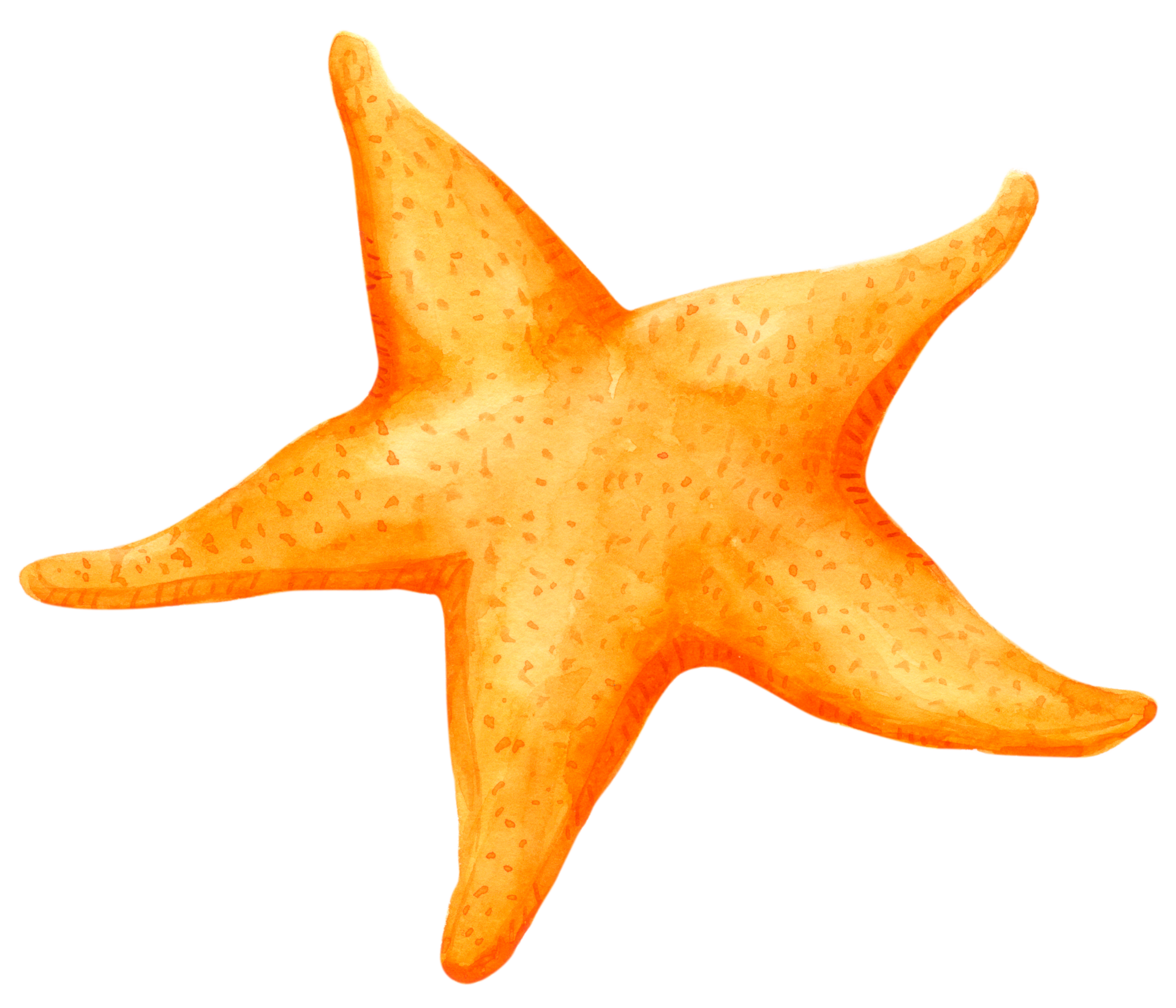Star Fish PNG Free Images with Transparent Background - (222 Free Downloads) Star Fish PNG Free Images with Transparent Background - (222 Free Downloads)