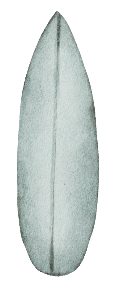 surfplank zomer aquarel png