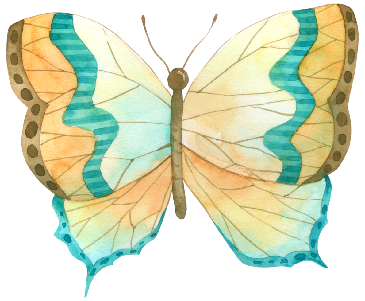 Butterfly Watercolor Illustration 11967180 Png - vrogue.co