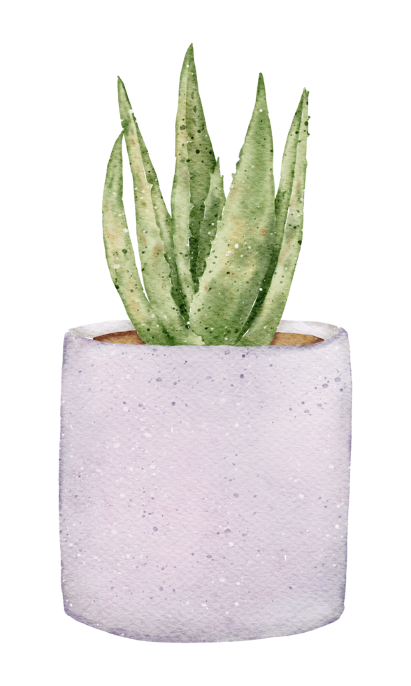 House plant watercolor png