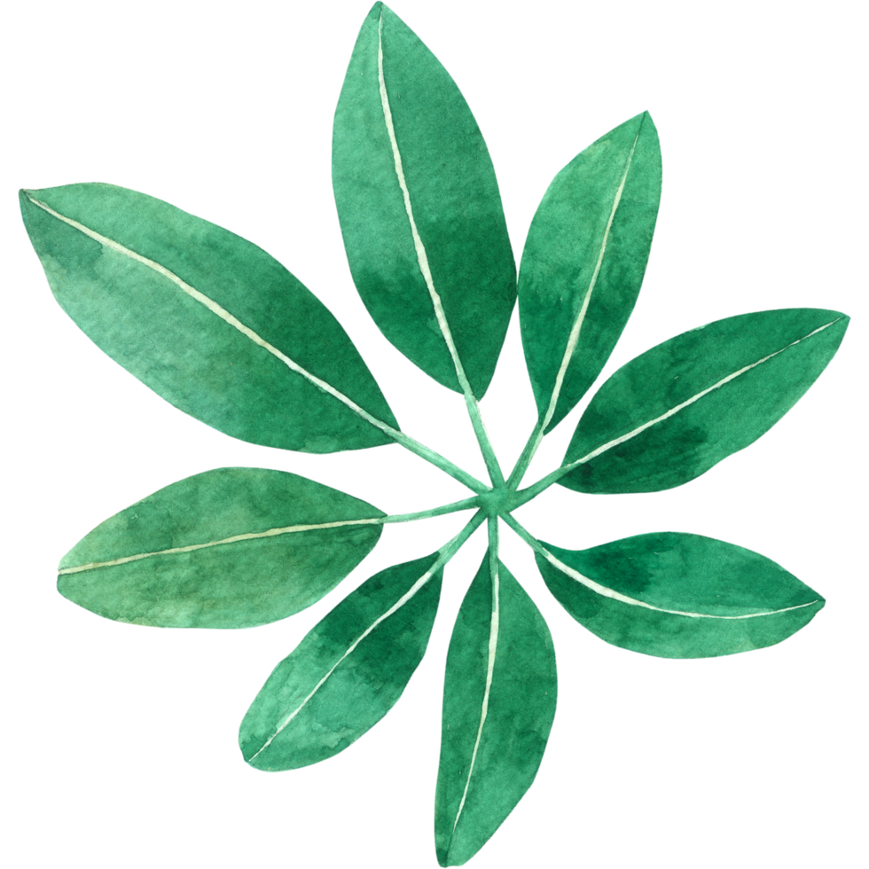Green Leaf Element watercolor png