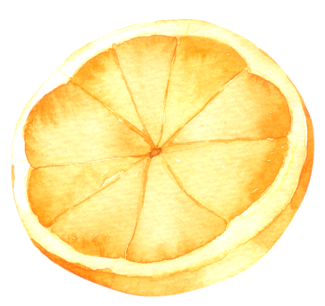 orange frukt akvarell handfärg png