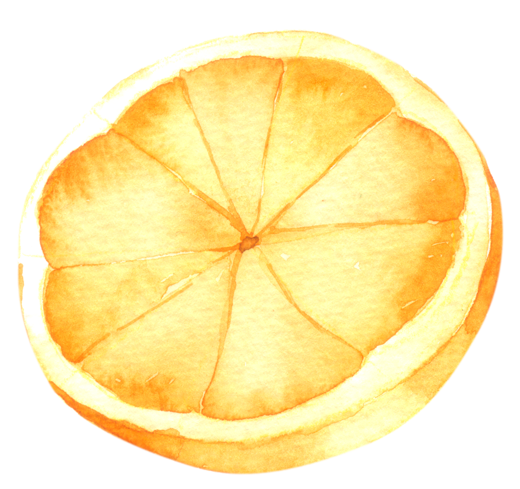 Orange fruit watercolor hand paint png