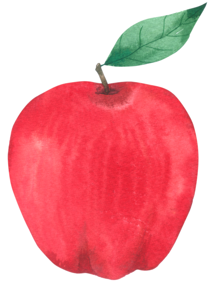 äpple frukt akvarell handfärg png