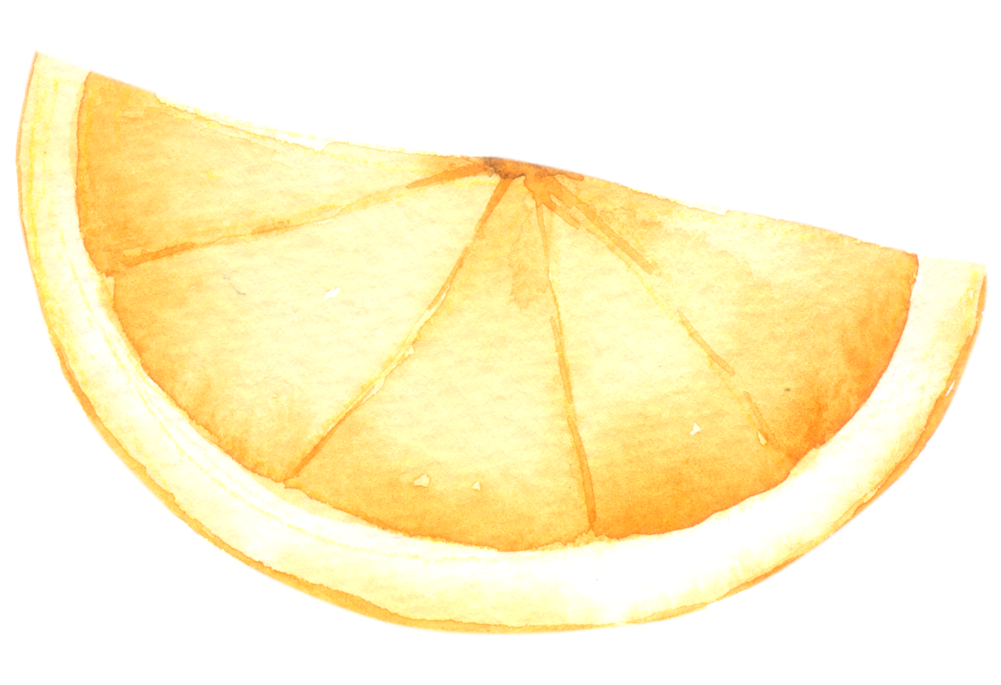 oranje fruit aquarel handverf png