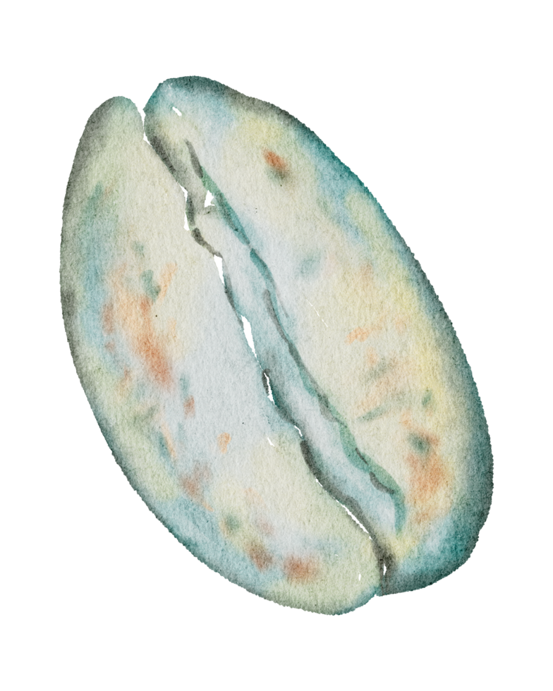 summer watercolor element png