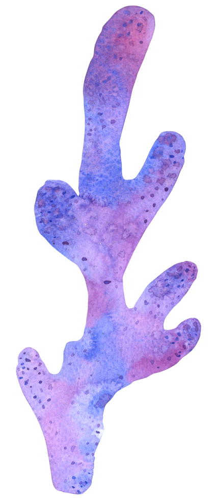 coral watercolor hand paint png