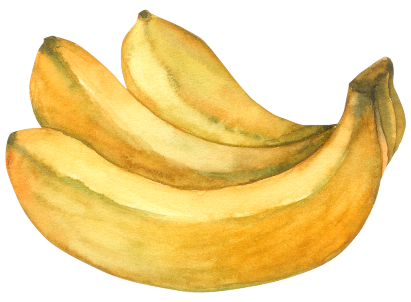 Banana watercolor hand paint png