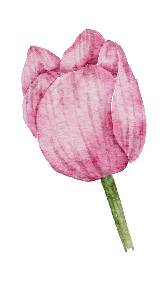 aquarelle de fleur d'anémone png