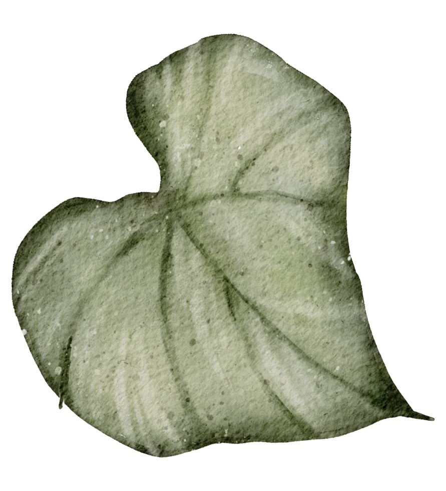 Leaf Element watercolor png