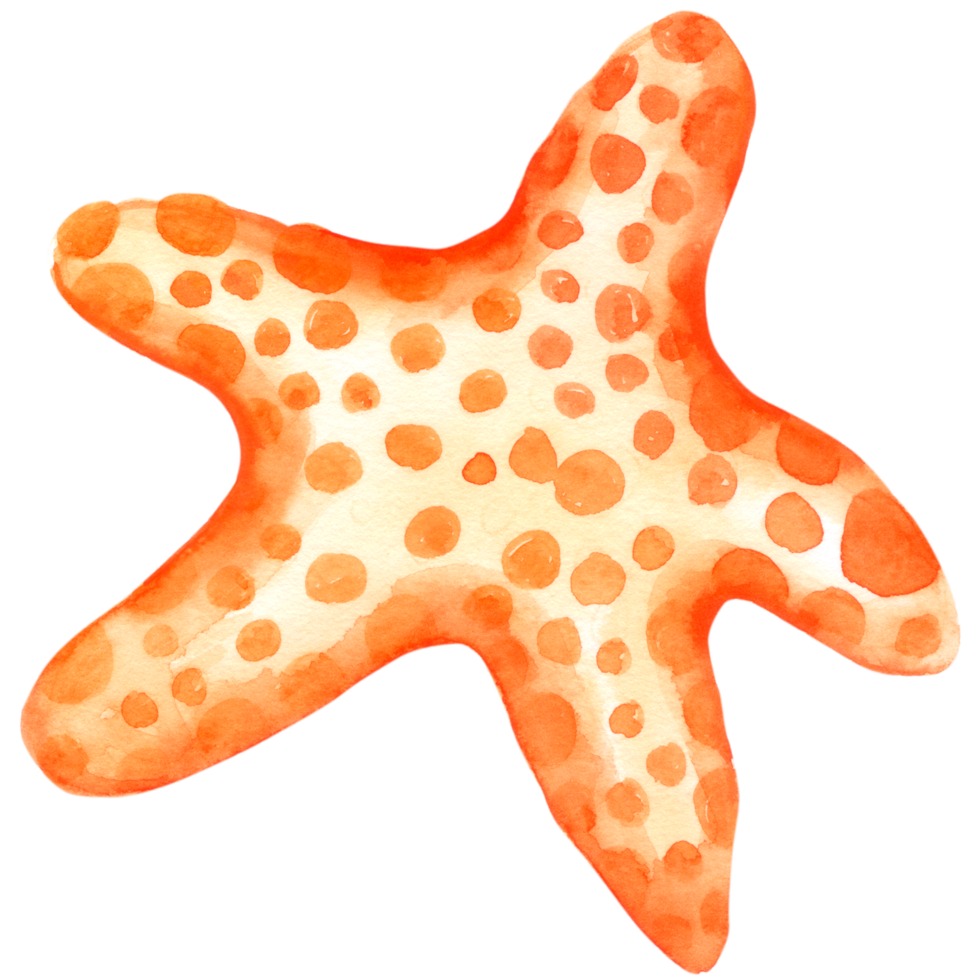 Star Fish watercolor hand paint png