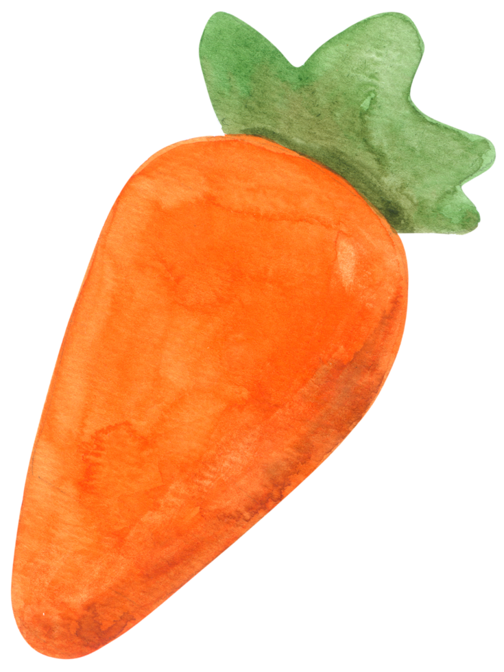 Carrot watercolor cartoon png