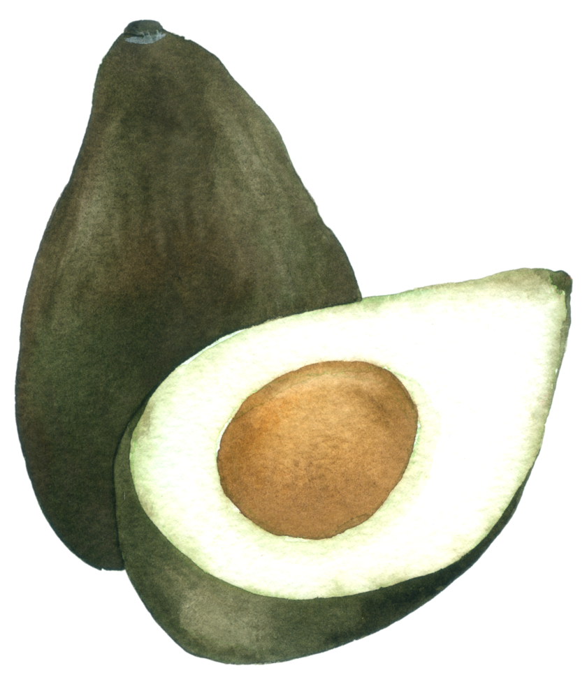 Avocado watercolor hand paint png