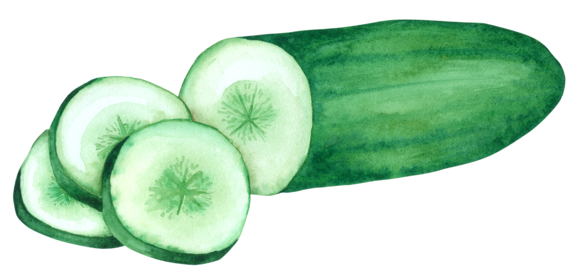 vegetabilisk akvarell handfärg png