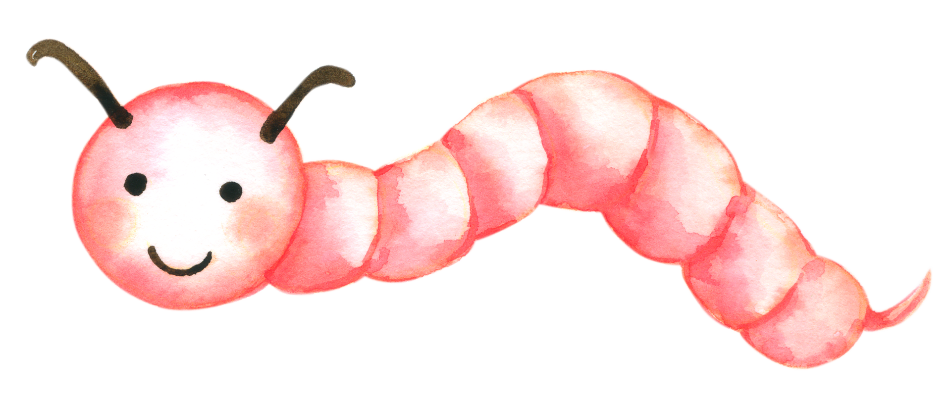 bugg akvarell handfärg png