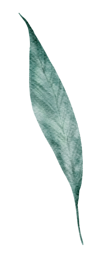 Leaf Element watercolor png