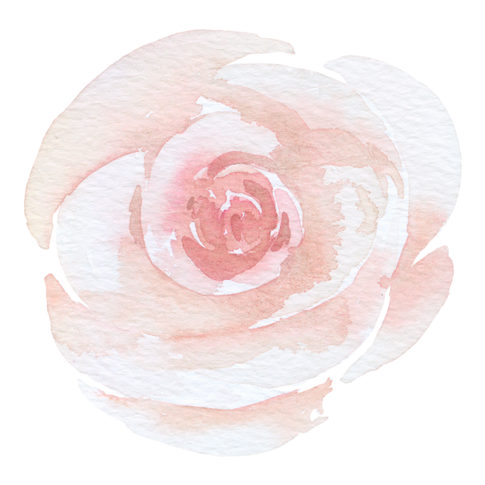 élément de fleur fleur de mariage aquarelle png